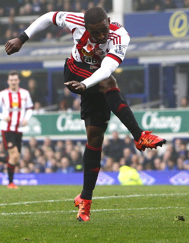 Chelsea boss Hiddink: I'd love to have worked with Defoe