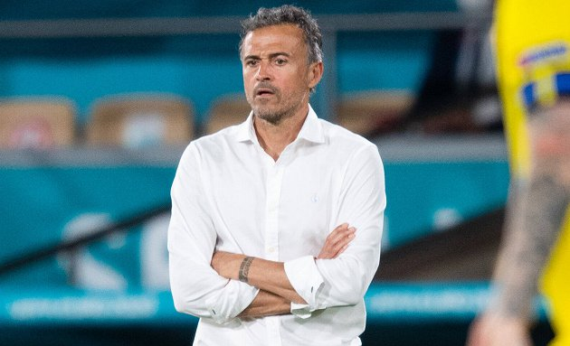 Spain coach Luis Enrique sorry Italy not in World Cup