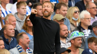 Brighton boss  Potter: Show of passion good for managers; good to be an idiot!