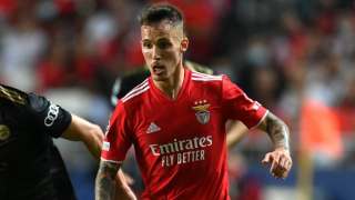Arsenal  open talks with Benfica for  Grimaldo