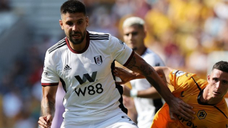 DONE DEAL: Lukic admits Mitrovic influence on Fulham move
